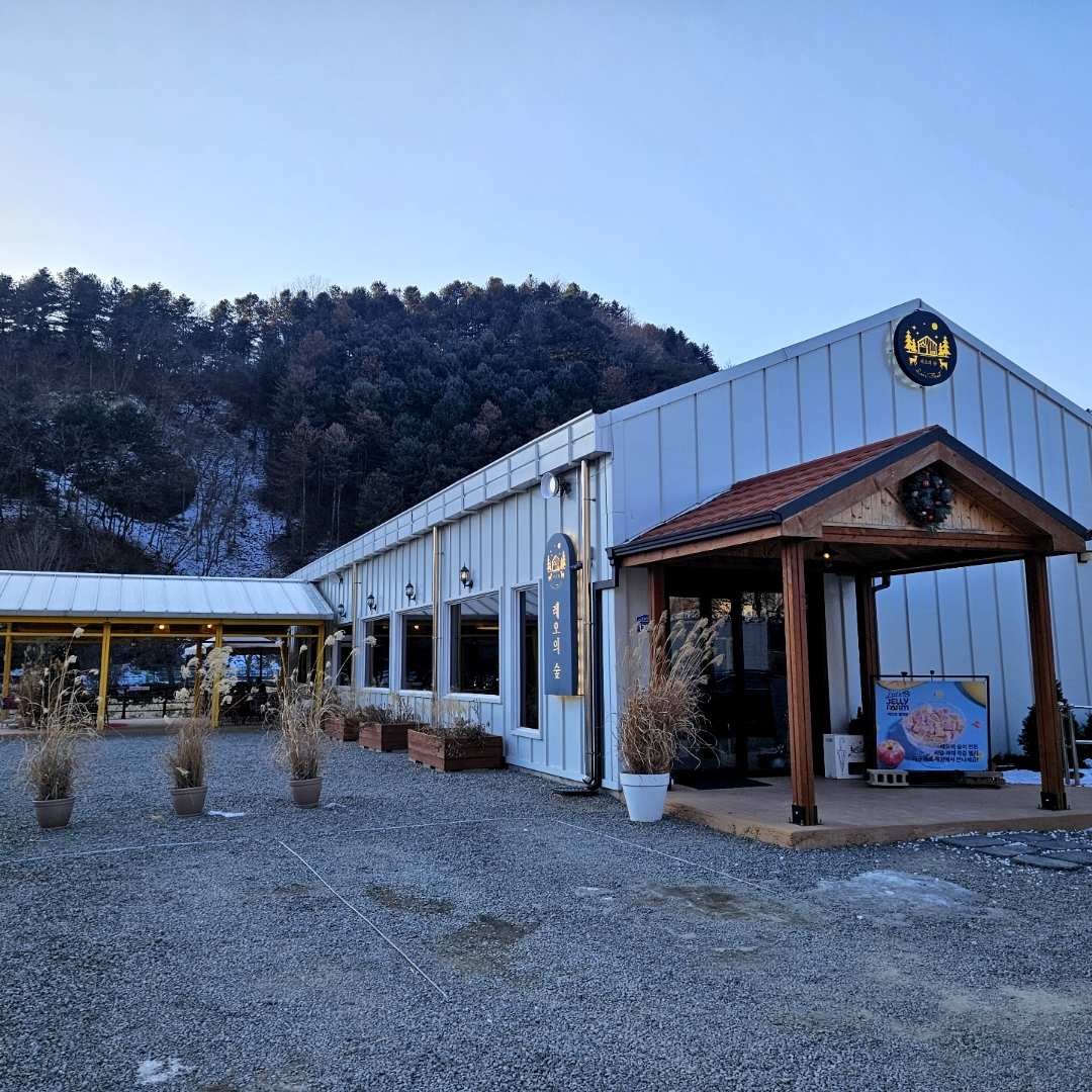 레오의 숲