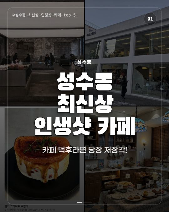 성수동 최신상 인생샷 카페 TOP 5
